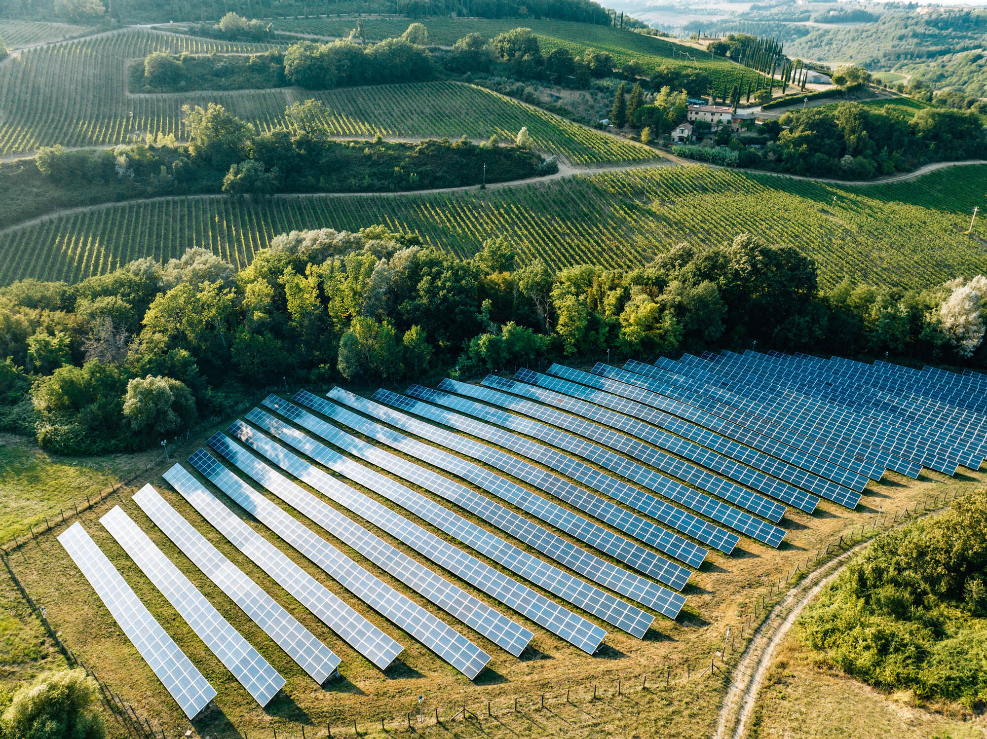 Solaire photovoltaïque pour les pros